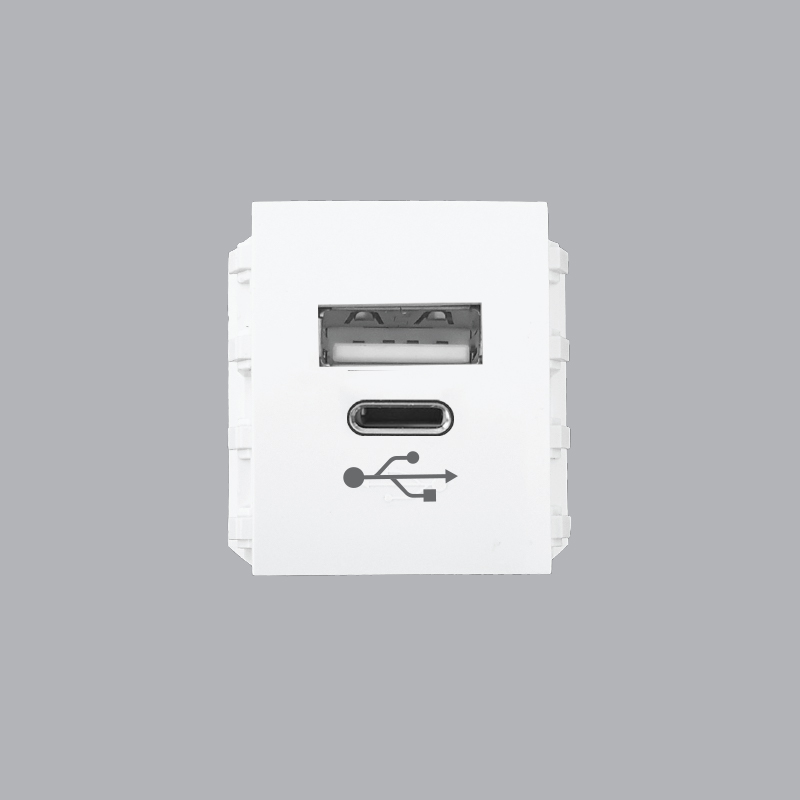 A6USB-A/C USB Charger Socket